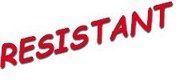 Artisan peintre Tours, devis gratuit, peinture � la chaux, peinture sabl�e, parquets,parquet flottant,Indre-et-Loire,37,stuc,staff,revetement sol,revetement sols,revetement mur